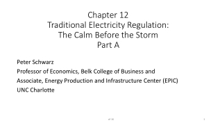 Chapter 12 Traditional Electricity Regulation: The Calm Before the Storm Part A