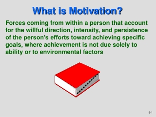 What is Motivation?