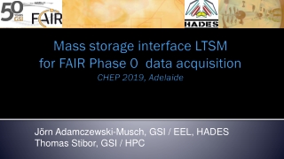 Mass storage interface LTSM for FAIR Phase 0 data acquisition CHEP 2019, Adelaide
