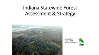 Indiana Statewide Forest Assessment &amp; Strategy