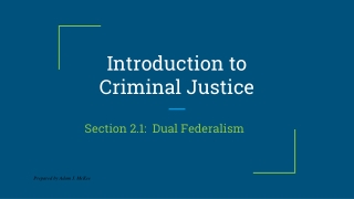 Introduction to Criminal Justice