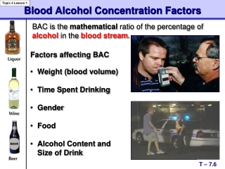 Blood Alcohol Concentration Factors