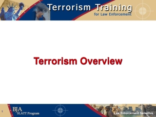 Terrorism Overview