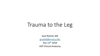 Trauma to the Leg