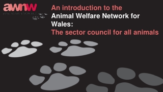 An introduction to the Animal Welfare Network for Wales: The sector council for all animals