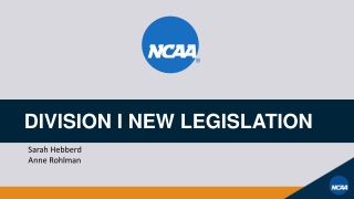 DIVISION I NEW LEGISLATION