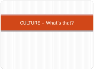 CULTURE – What’s that?