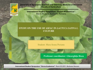 STUDY ON THE USE OF ASFAC IN LACTUCA SATIVA L. CULTURE