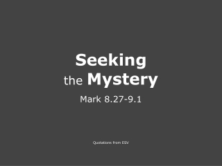 Seeking the Mystery