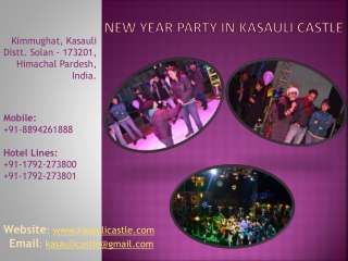New Year Party in Kasauli Castle