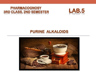 LAB.5