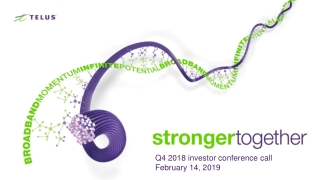 Q4 2018 investor conference call February 14, 2019