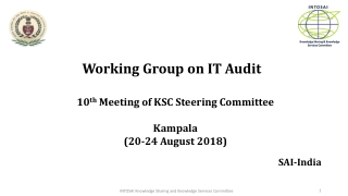 W orking Group on IT Audit