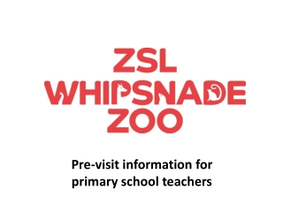 Pre-visit information for primary school teachers