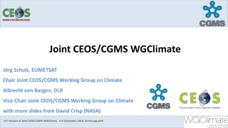 Joint CEOS/CGMS WGClimate