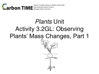 Plants Unit Activity 3.2GL: Observing Plants’ Mass Changes, Part 1