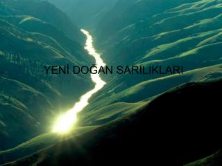 YENİ DOĞAN SARILIKLARI