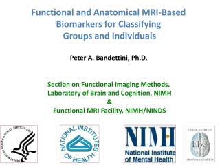 Functional and Anatomical MRI-Based Biomarkers for Classifying Groups and Individuals