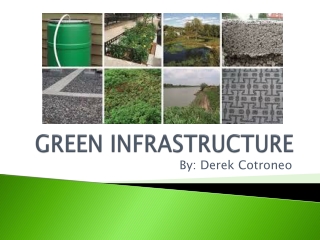 GREEN INFRASTRUCTURE