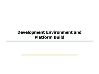 Development Environment and Platform Build