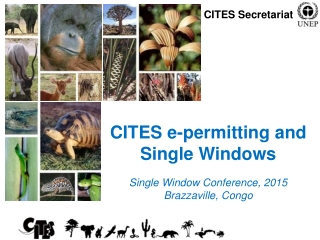 CITES e-permitting and Single Windows Single Window Conference, 2015 Brazzaville, Congo