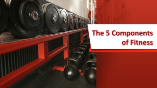 The 5 Components of Fitness