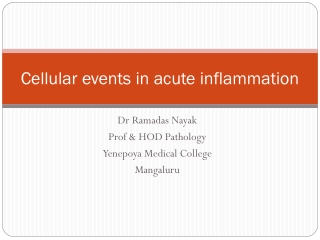 Cellular events in acute inflammation