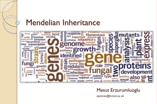 Mendelian Inheritance