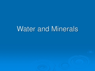 Water and Minerals