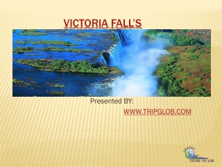 VICTORIA fALL’S