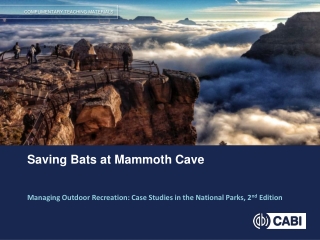 Saving Bats at Mammoth Cave