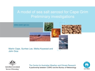 A model of sea salt aerosol for Cape Grim Preliminary investigations