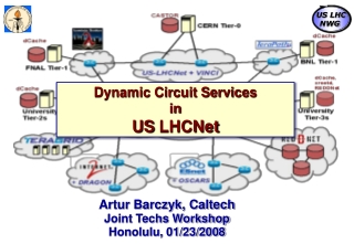 Dynamic Circuit Services in US LHCNet