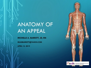 Anatomy of an Appeal