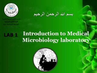 Introduction to Medical Microbiology laboratory