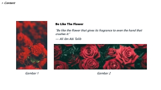Be Like The Flower