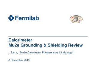 Calorimeter Mu2e Grounding &amp; Shielding Review