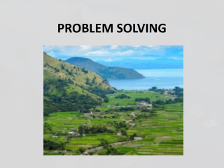 PROBLEM SOLVING