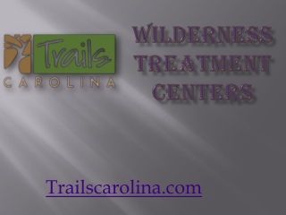 Wilderness Treatment Centers