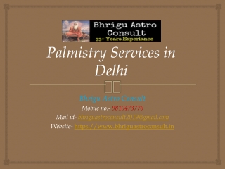 Palmistry Services in Delhi