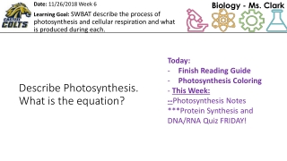 Describe Photosynthesis. What is the equation?