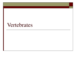 Vertebrates