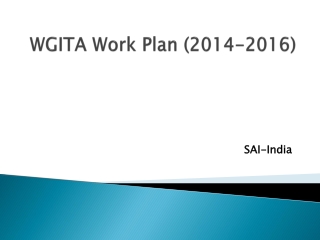 WGITA Work Plan (2014-2016)