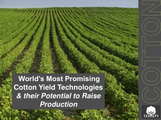 World’s Most Promising Cotton Yield Technologies &amp; their Potential to Raise Production