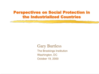Perspectives on Social Protection in the Industrialized Countries
