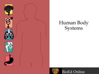 Human Body Systems