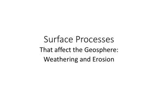 Surface Processes