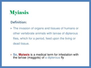 Myiasis