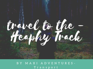 Best Transport And Adventures on Heaphy Track