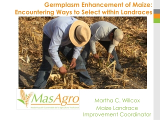 Germplasm Enhancement of Maize: Encountering Ways to Select within Landraces